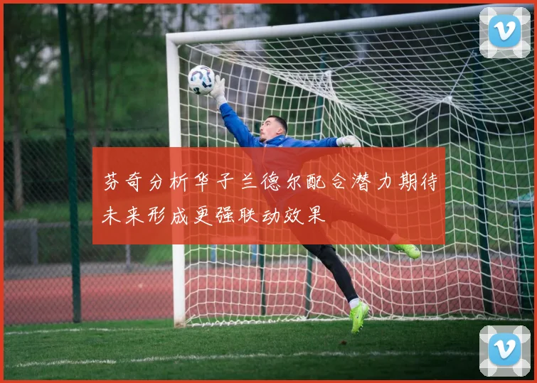 芬奇分析华子兰德尔配合潜力期待未来形成更强联动效果
