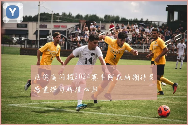 厄德高闪耀2024赛季阿森纳期待灵感重现与辉煌回归